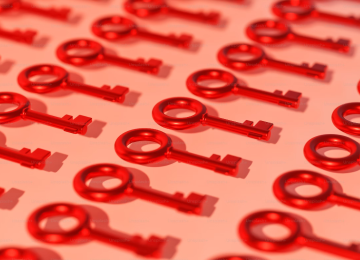Full Protection of IP Rights